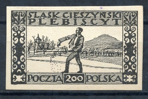 Polen 1920 slask - 1920, cieszynski