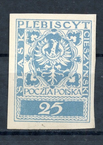 Polen 1920 slask cieszynski - 1920,
